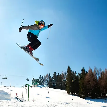 & Forest Paradise * Cerkno