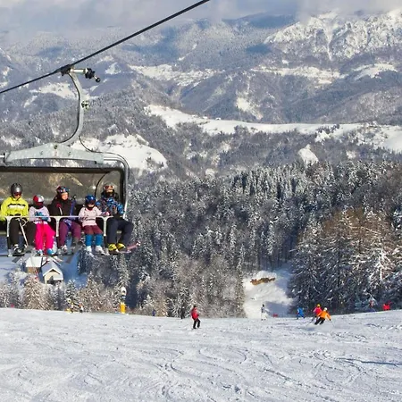 Appartement & Forest Paradise *