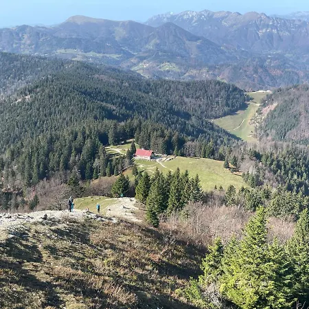 & Forest Paradise Cerkno