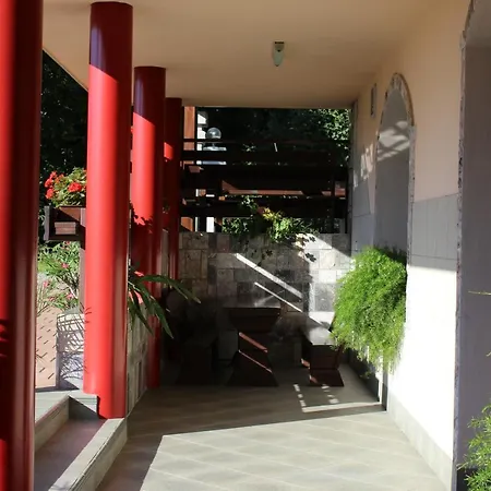 Apartman & Forest Paradise *