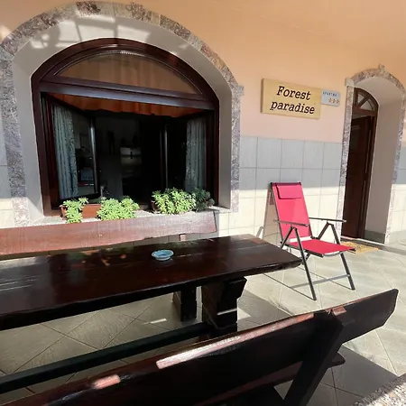 & Forest Paradise * Cerkno