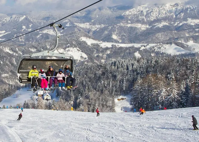 דירה & Forest Paradise *