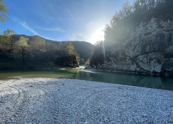 & Forest Paradise צ'רקנו