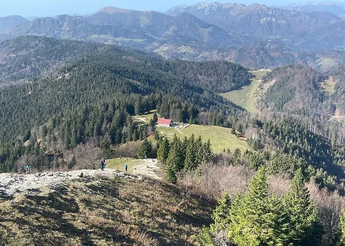 & Forest Paradise צ'רקנו