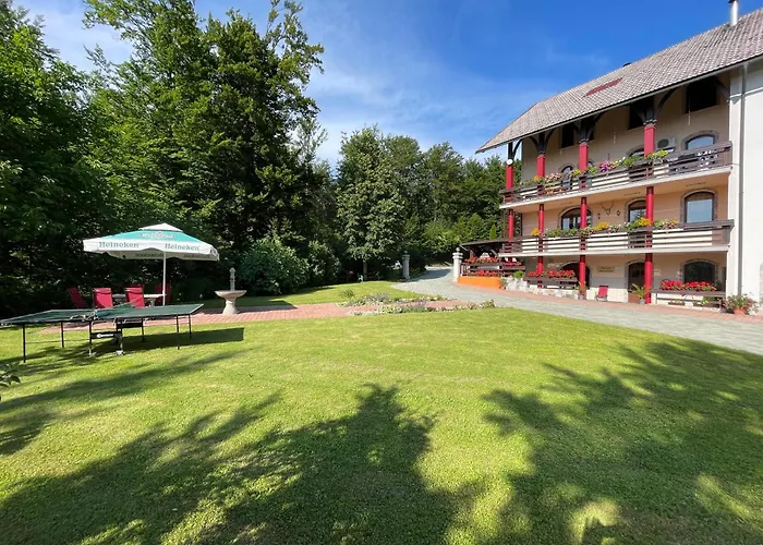 דירה & Forest Paradise