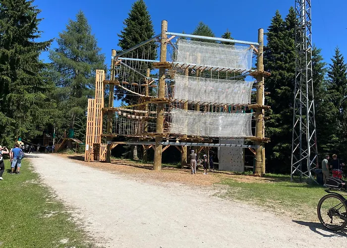 דירה & Forest Paradise